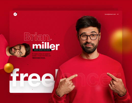 Freelancer theme preview