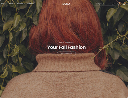 Molla – Fashion 10 (Parallax) theme preview