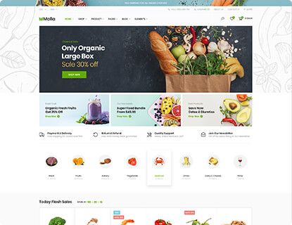 Molla – Market 4 (Food) theme preview