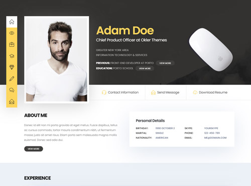 Porto · Resume theme preview